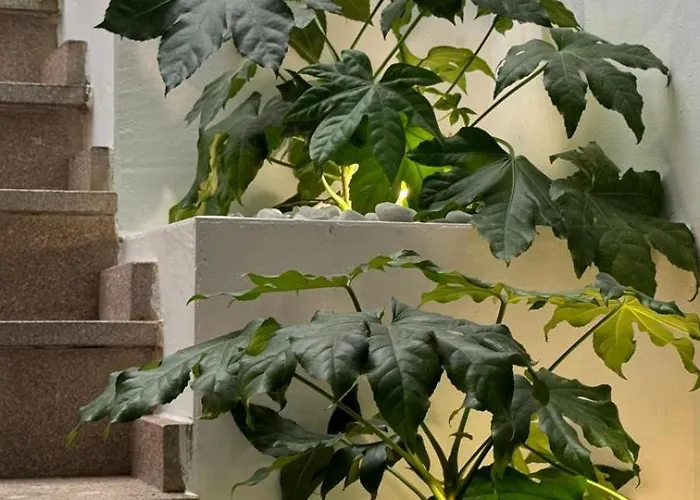 Hospedium La Fuente Hotel 3*